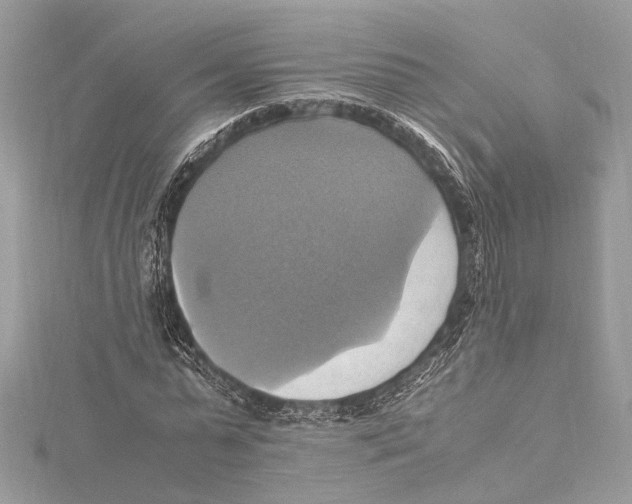 X0000115560775200912041052