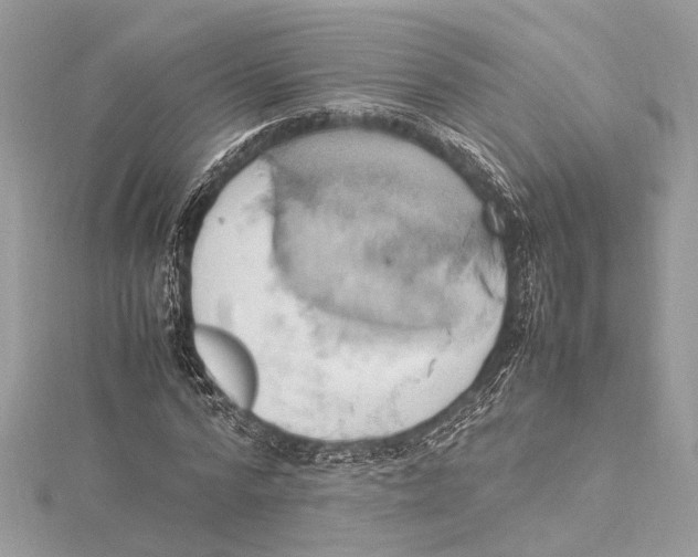 X0000115560776200912041052