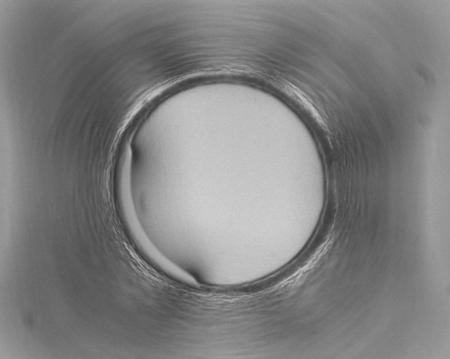 X0000115560781200912041052