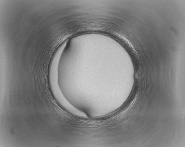 X0000115560785200912041052