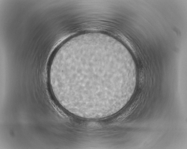 X0000115560787200912041052