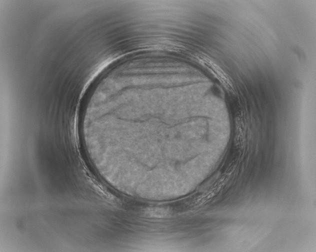 X0000115560788200912041052