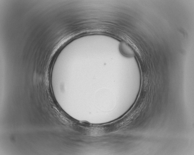 X0000115560789200912041052