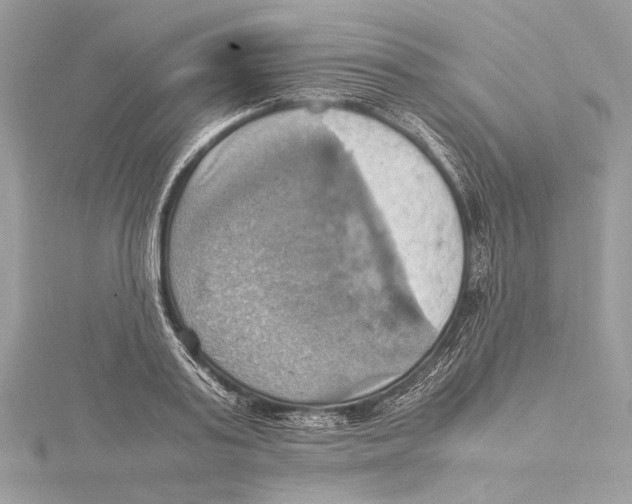 X0000115560795200912041052