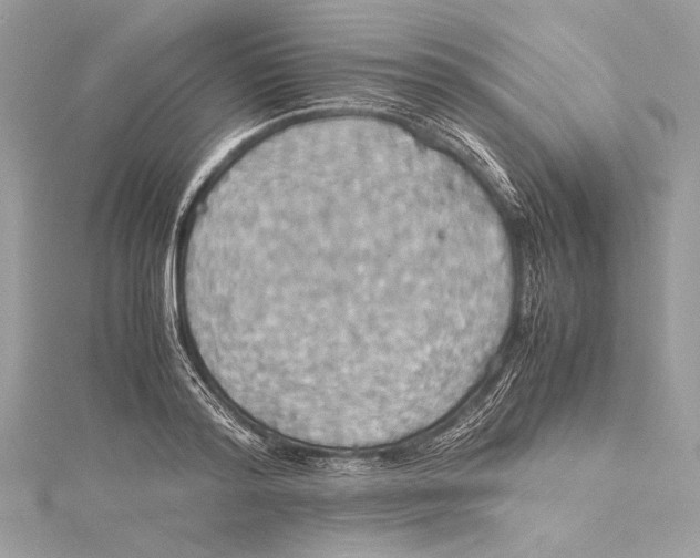 X0000115560796200912041052