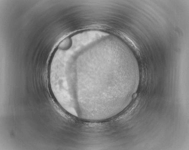 X0000115560800200912041052