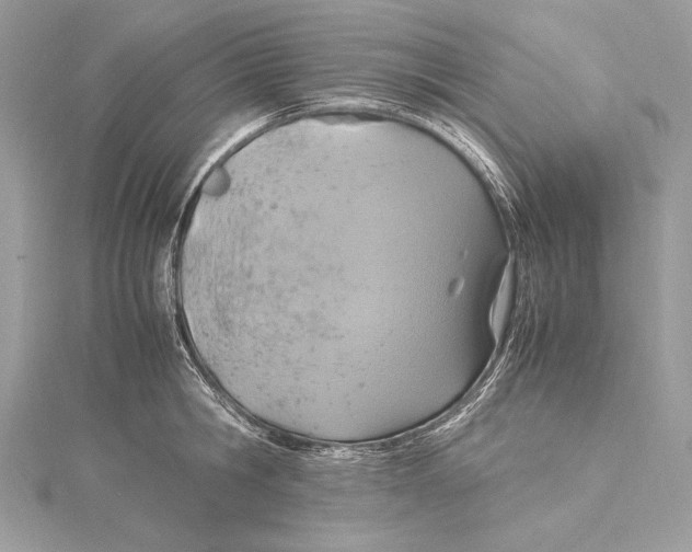 X0000115560806200912041052