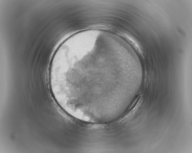 X0000115560808200912041052