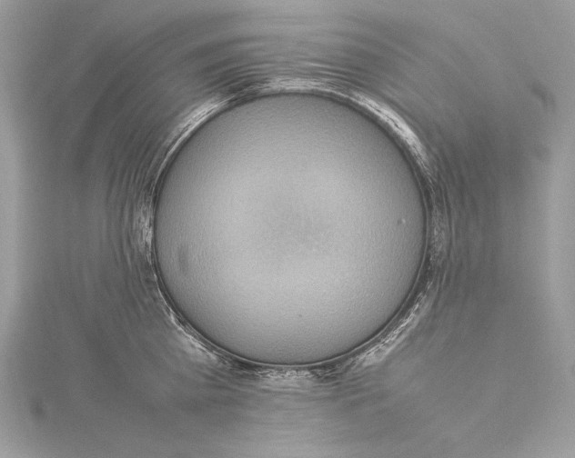 X0000115560809200912041052