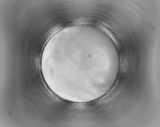 X0000115560810200912041052