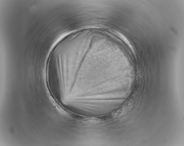 X0000115560811200912041052