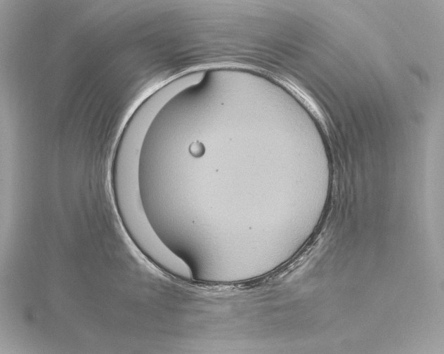 X0000115560813200912041052