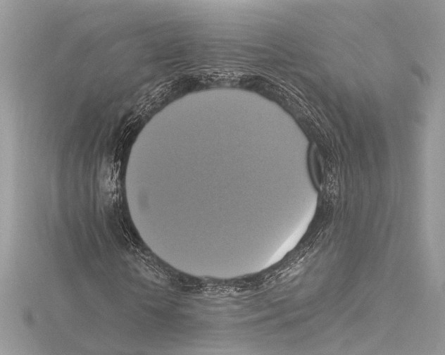 X0000115560818200912041051