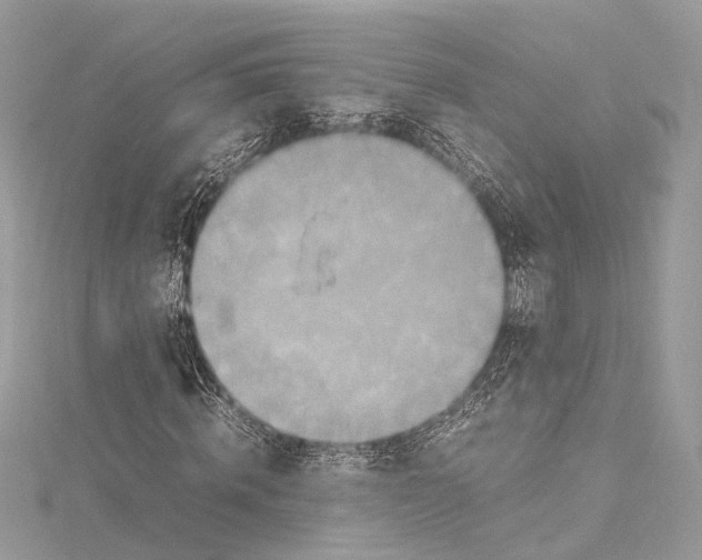 X0000115560820200912041051