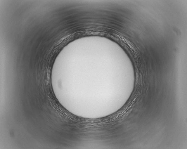 X0000115560821200912041051