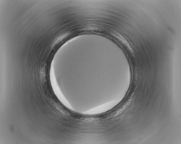 X0000115560826200912041051