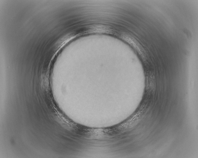 X0000115560828200912041051