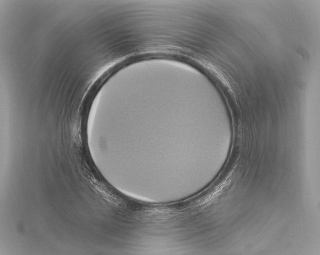 X0000115560830200912041051