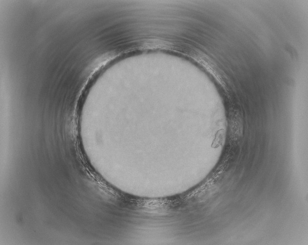 X0000115560832200912041051