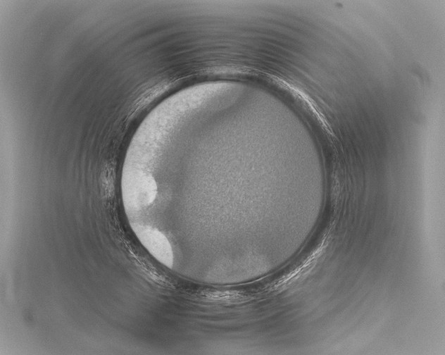 X0000115560833200912041051