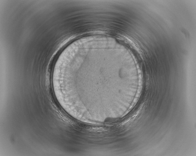 X0000115560835200912041051