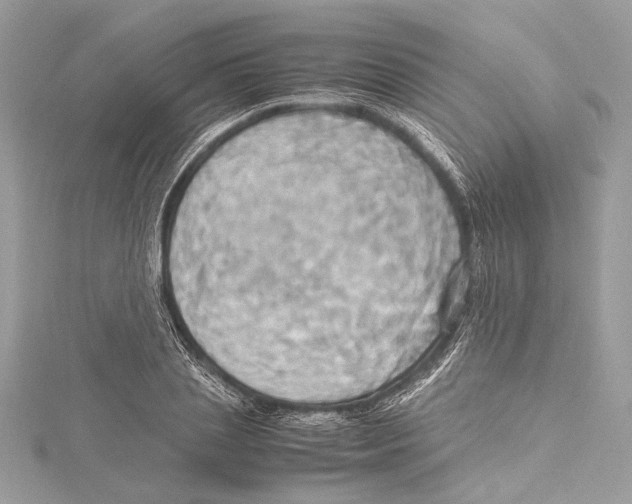 X0000115560837200912041051