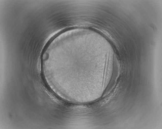 X0000115560838200912041051