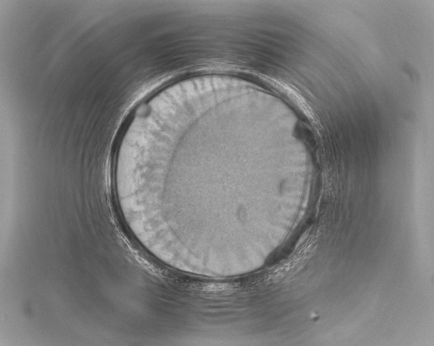 X0000115560839200912041051