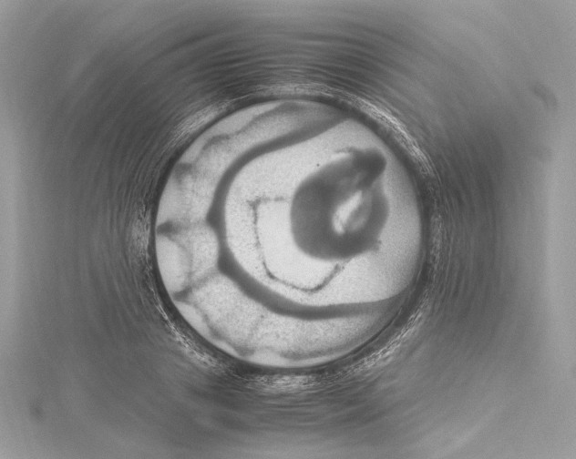 X0000115560841200912041051