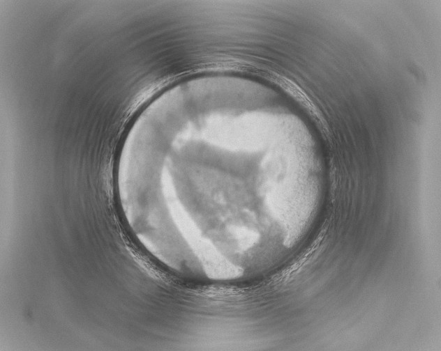 X0000115560842200912041051