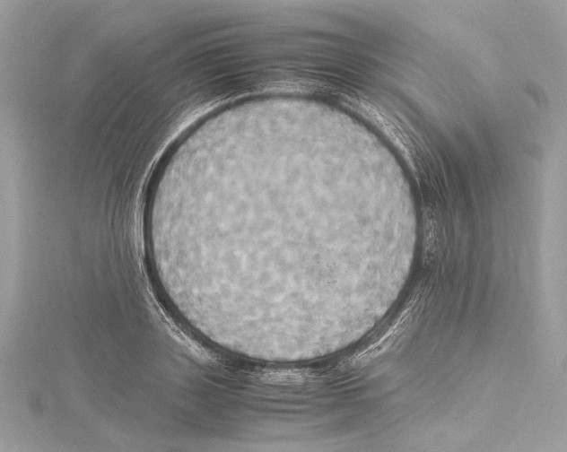 X0000115560843200912041051