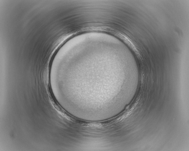 X0000115560844200912041051