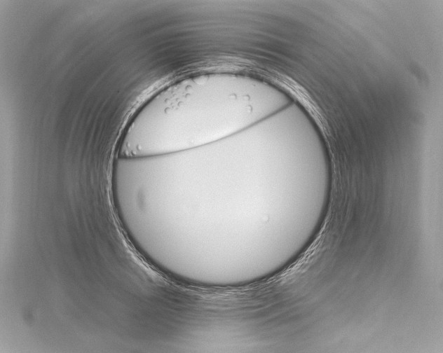 X0000115560850200912041052