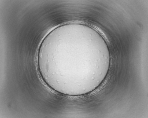 X0000115560852200912041052