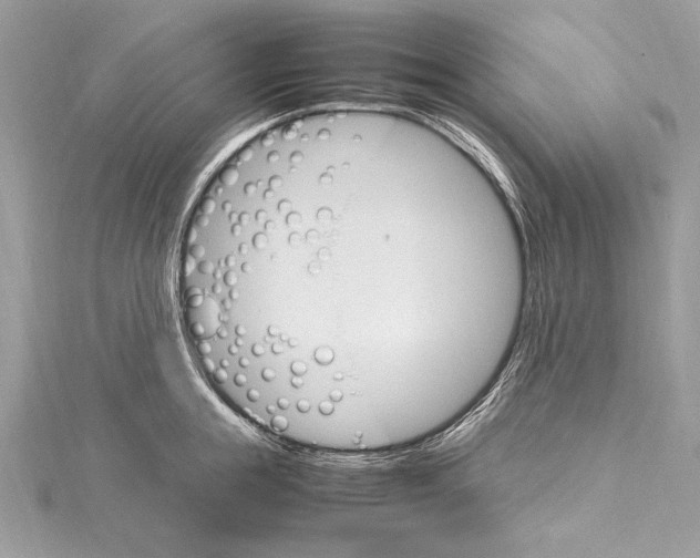 X0000115560855200912041052