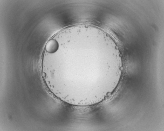 X0000115560856200912041052