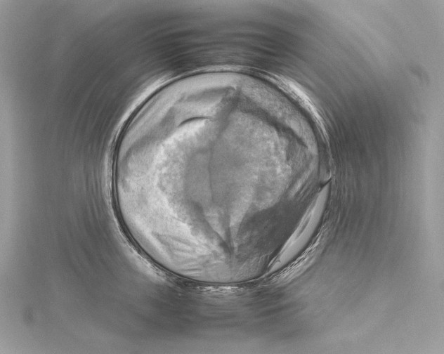 X0000115560859200912041052