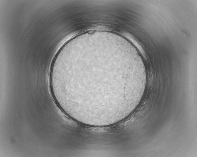 X0000115560861200912041052