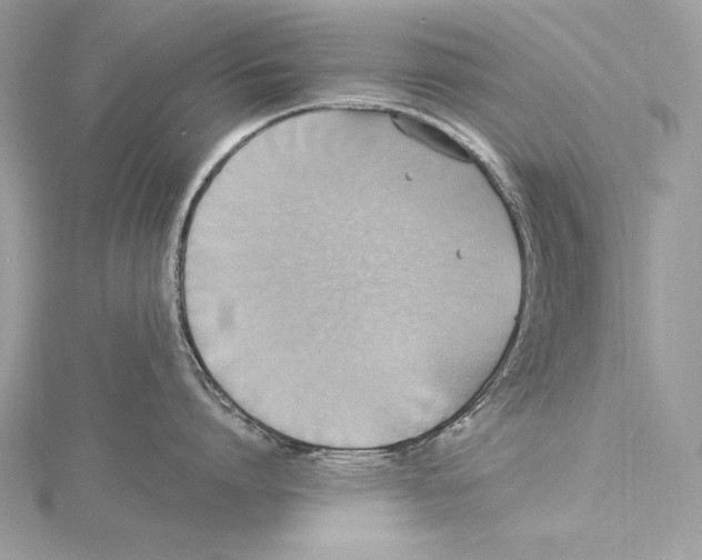 X0000115560864200912041052