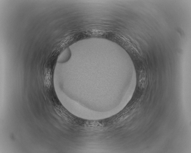 X0000115560866200912041051