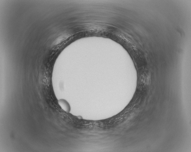 X0000115560869200912041051