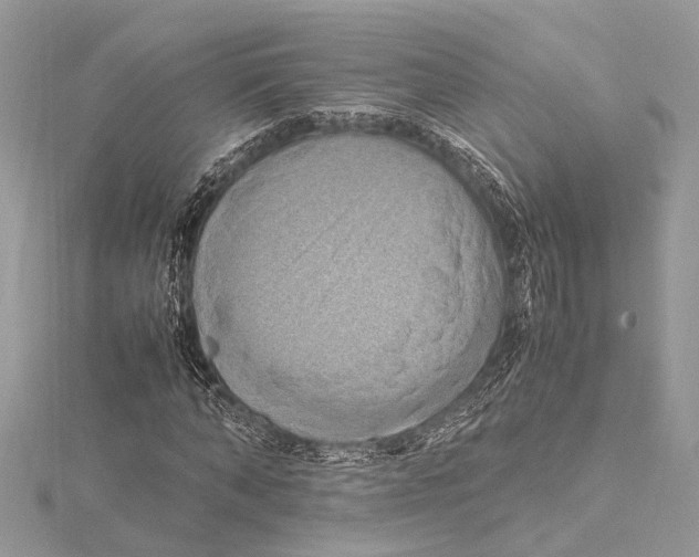 X0000115560870200912041051