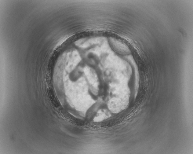 X0000115560871200912041051