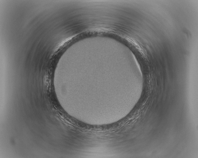 X0000115560872200912041051