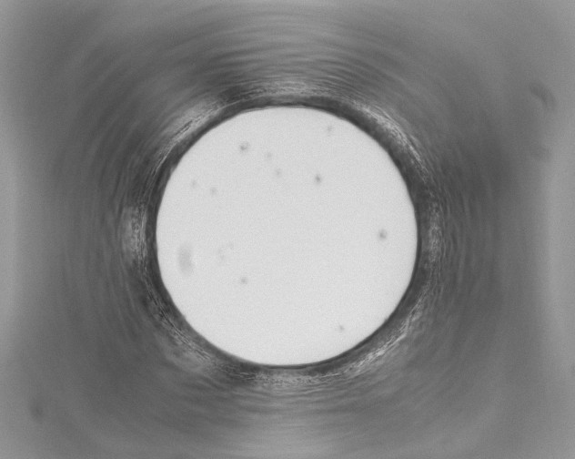 X0000115560873200912041051