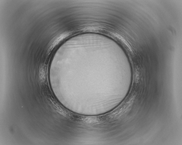 X0000115560874200912041051