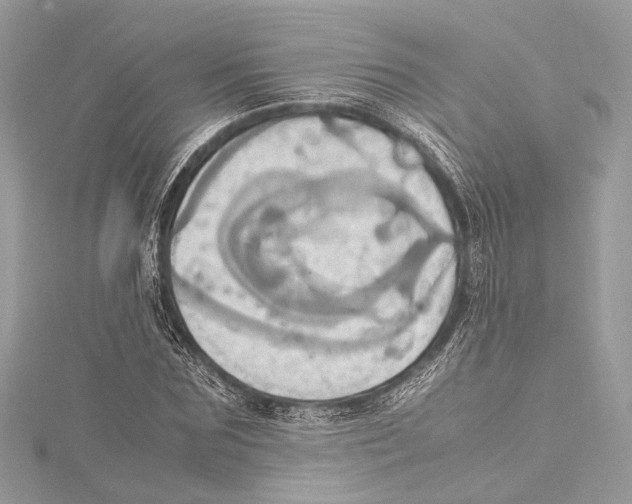 X0000115560875200912041051