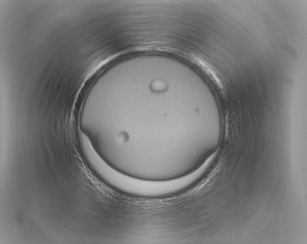 X0000115560876200912041051