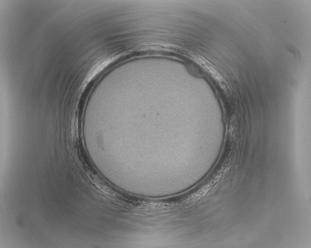 X0000115560877200912041051