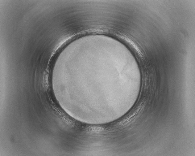 X0000115560878200912041051